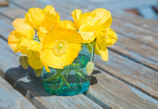Welsh Poppy Meconopsis Cambrica Shallow Blue Glass Old Garden Table — Stock Photo, Image