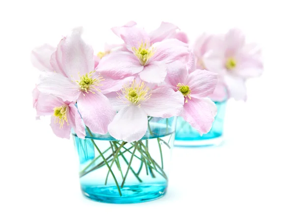Spring pastel — Stock Photo, Image