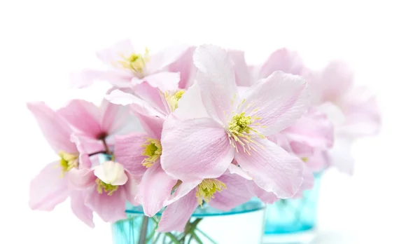 stock image Spring pastel