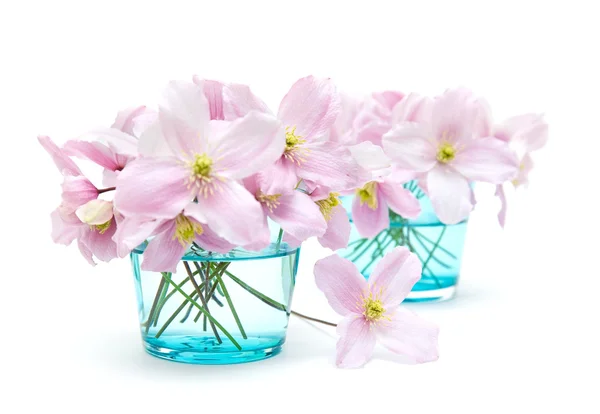 Våren pastell — Stockfoto