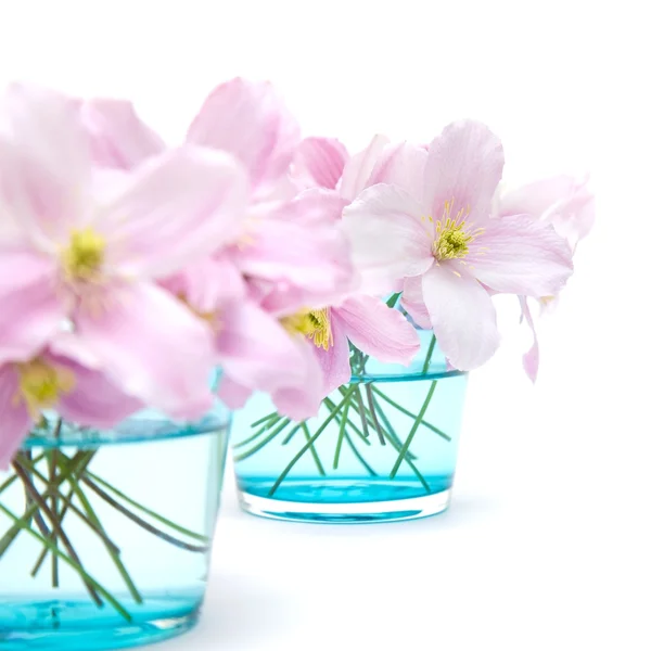 Spring Pastel — Stock Photo, Image