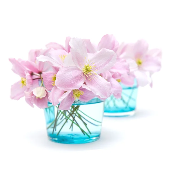 stock image Spring pastel