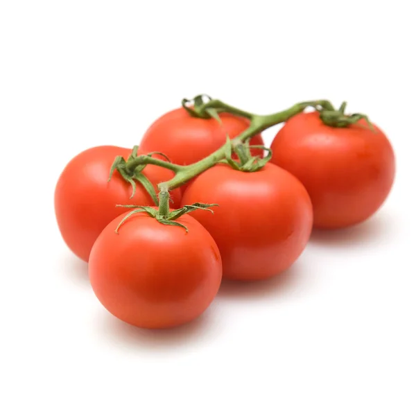在白色背景上的葡萄藤上的西红柿 — 图库照片