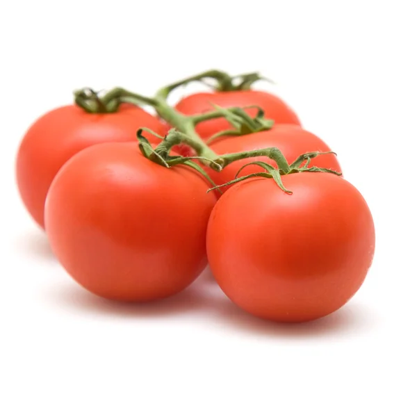 Tomates Videira Sobre Fundo Branco — Fotografia de Stock