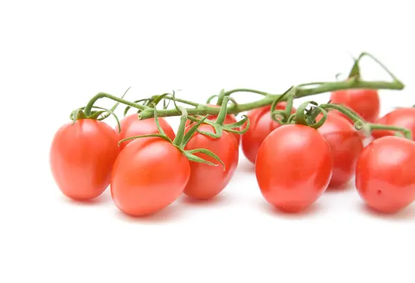 Tomates na videira sobre fundo branco — Fotografia de Stock