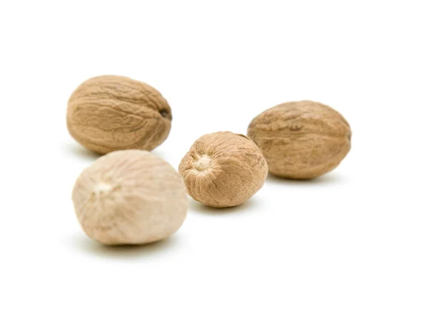 Nutmeg — Stock Photo, Image