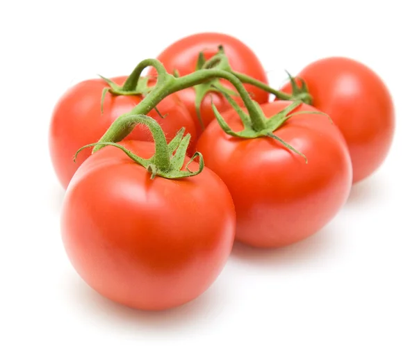 Tomatoes on the vine on white background — Stock Photo, Image