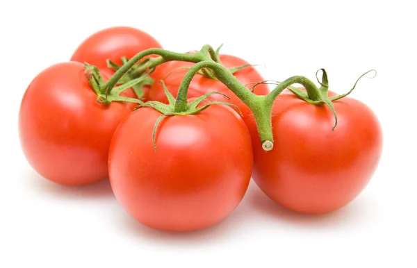 흰색 바탕에 덩굴에 토마토 — Stock Fotó