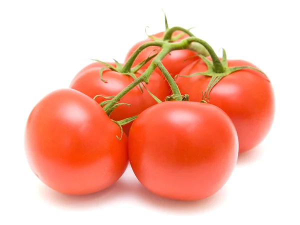 Tomates na videira sobre fundo branco — Fotografia de Stock