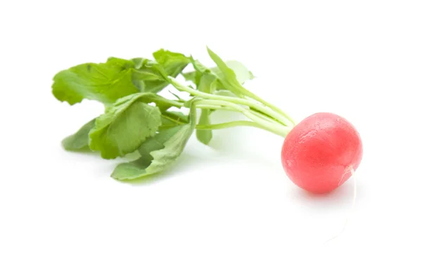 Single fresh red radish isolated on white background — Stock Photo, Image