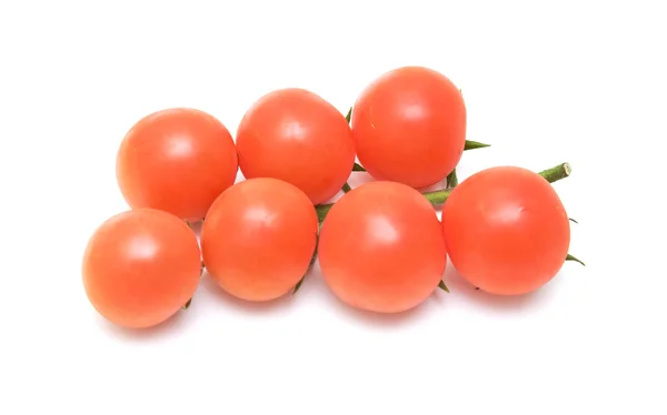 Rama Tomates Vid Aislados Blanco —  Fotos de Stock