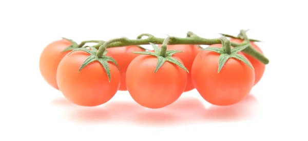 Rama de tomates de vid aislados en blanco —  Fotos de Stock