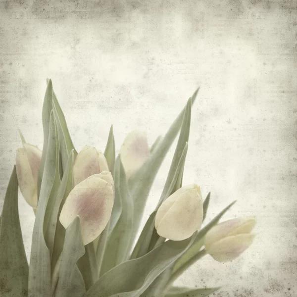 Textured Old Paper Background Tulips — Stock Photo, Image