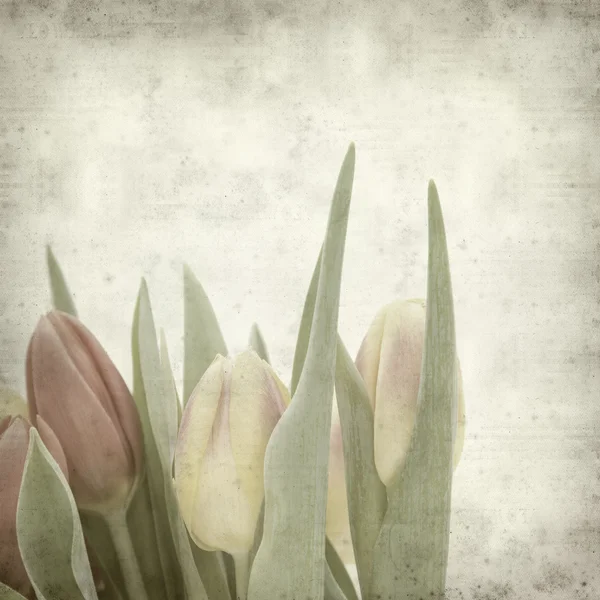 Fondo Papel Viejo Texturizado Con Tulipanes —  Fotos de Stock