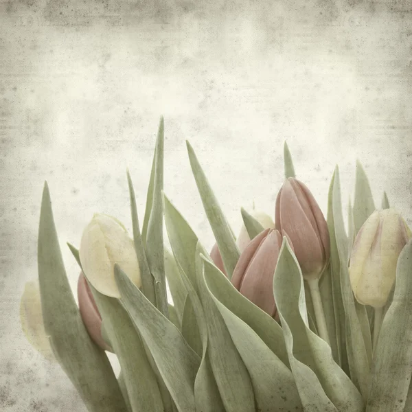 stock image Textured old paper background with tulips