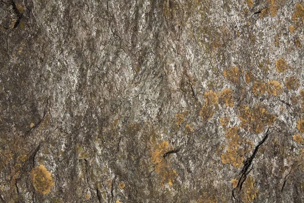 云母富石的背景 — 图库照片