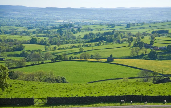 Yorkshire, Verenigd Koninkrijk, rand van nationaal park "yorkshire dales" — Stockfoto