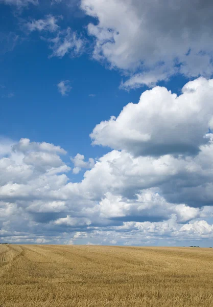 Голубое Небо Над Собранным Полем — стоковое фото