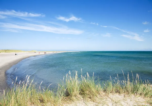 スケーエン (skaw)、北ユラン地域、ユトランド半島のデンの砂浜の towerds 半島を見る — ストック写真