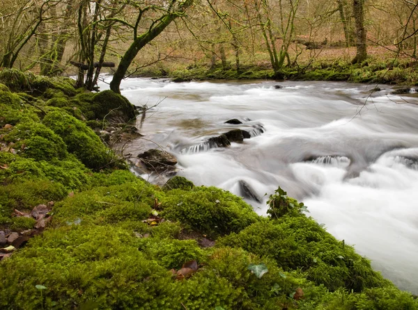 Rzeka barle w pobliżu dulverton, somerset, Wielka Brytania, zima — Zdjęcie stockowe
