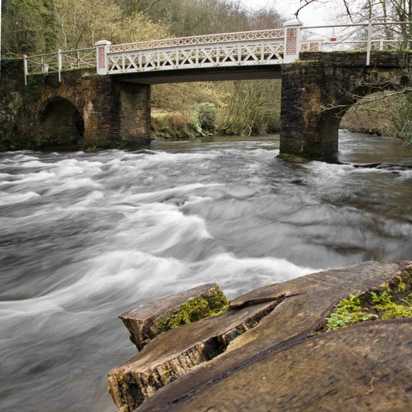 Marsh brug, Mitcham, somerset, Verenigd Koninkrijk, vroege lente — Stockfoto