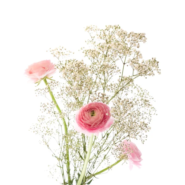 Simple bunch of Gypsophila (Baby's-breath) and pink Ranunculus (Persia — Stock Photo, Image