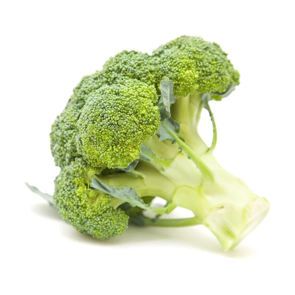 Single broccoli head isolated on white background; — Stock Photo, Image