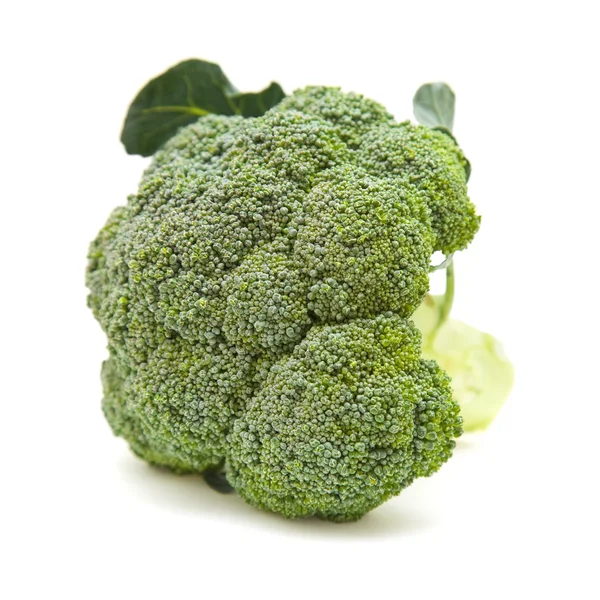 Single broccoli head isolated on white background; — Stock Photo, Image