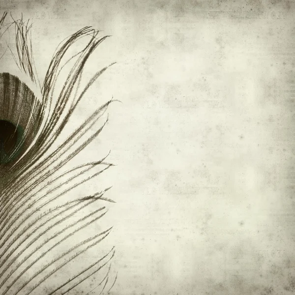 孔雀の羽を持つ古い用紙の背景のテクスチャ — ストック写真