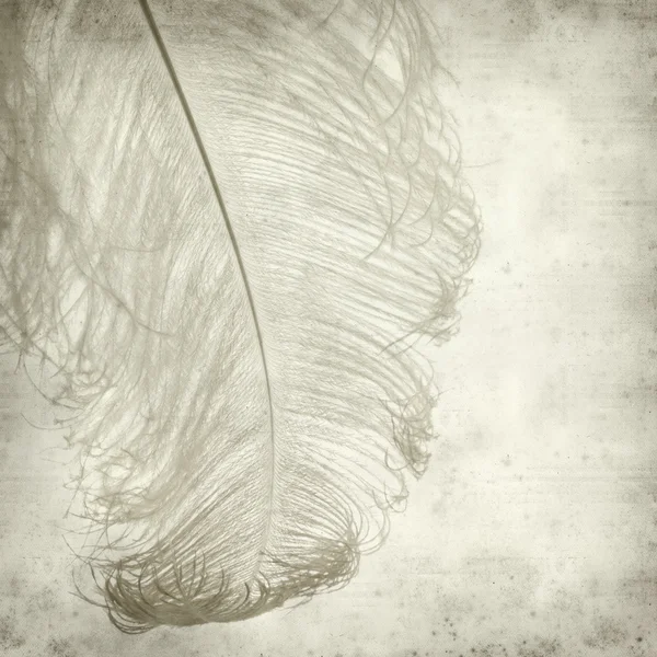 染めのダチョウの羽を持つテクスチャの古い紙の背景 — ストック写真