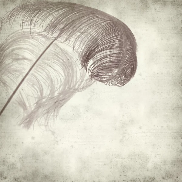 Boyalı devekuşu tüyü ile dokulu eski kağıt arka plan — Stok fotoğraf