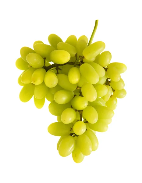 在白色背景上隔离的一串新鲜绿色葡萄 — 图库照片