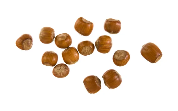 Handful of whole; shiny hazel nuts isolated on white background; — Stock Photo, Image