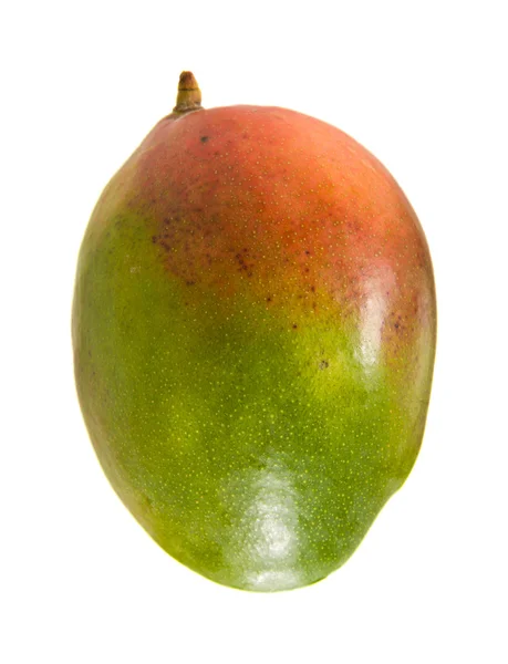 Wyizolowane mango — Zdjęcie stockowe