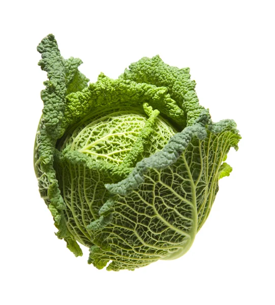 stock image Savoy cabbage head isolated on white background;