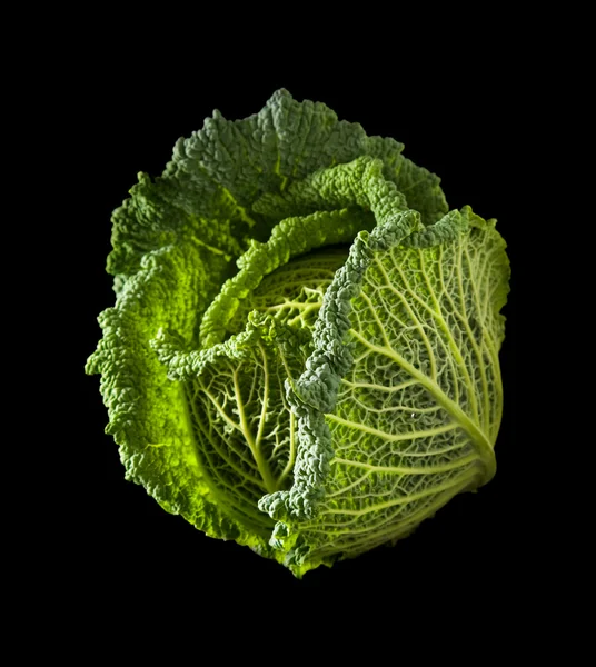 stock image Savoy cabbage head isolated on black background;