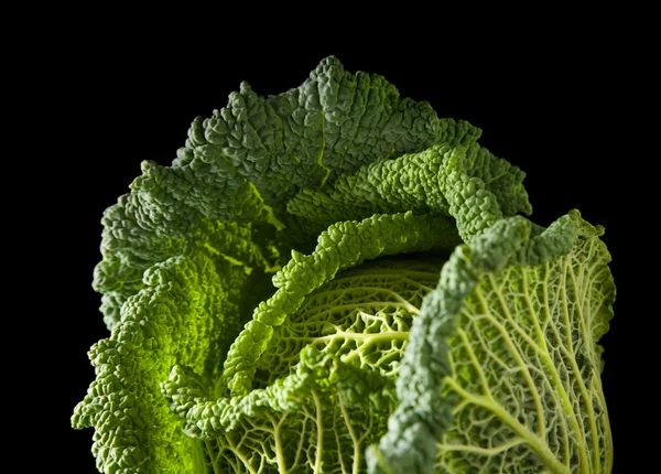 Savoy cabbage head isolated on black background; — Stock Photo, Image