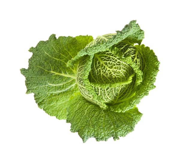 Savoy cabbage head isolated on white background; — Stock Photo, Image