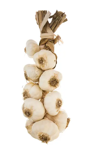 Zopf aus Knoblauchzwiebeln in Nahaufnahme isoliert auf weißem Hintergrund; — Stockfoto