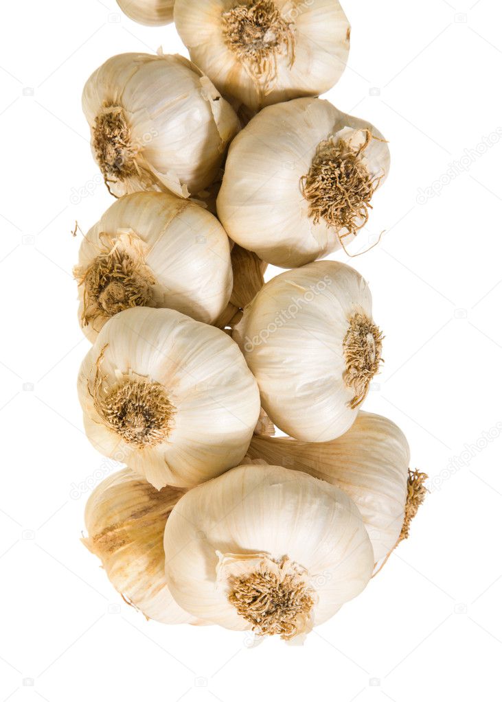 Plait of garlic bulbs close-up isolated on white background;