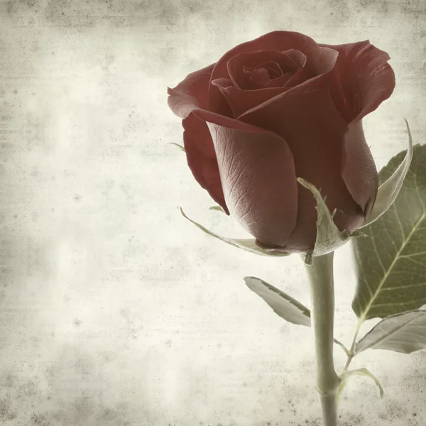 Υφή παλιά φόντο με ενιαίο κόκκινο τριαντάφυλλο — Φωτογραφία Αρχείου