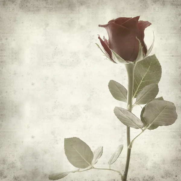 Latar belakang kertas bertekstur lama dengan mawar merah tunggal — Stok Foto