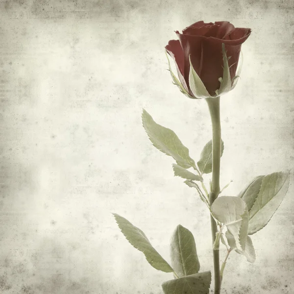 単一の赤いバラと古い用紙の背景のテクスチャ — ストック写真