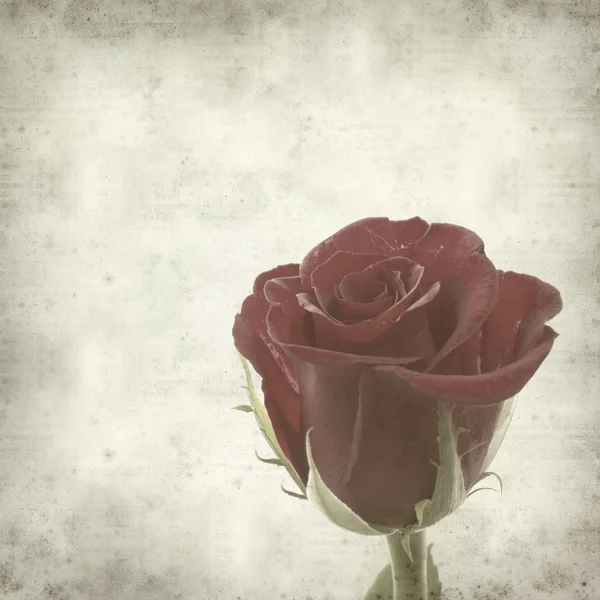 Textured old paper background with single red rose — Stock Photo, Image