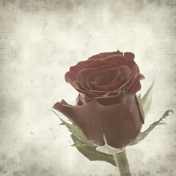 纹理与一朵红玫瑰的旧纸张背景。 — 图库照片