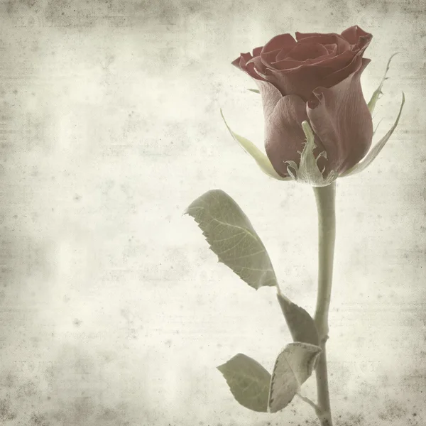 纹理与一朵红玫瑰的旧纸张背景。 — 图库照片