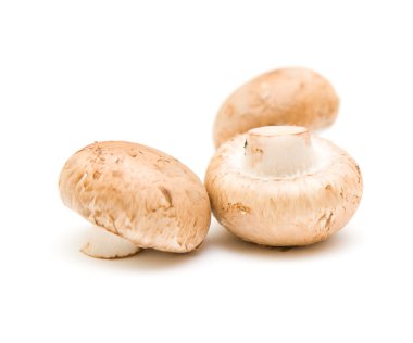 Brown mushrooms isolated on white clipart