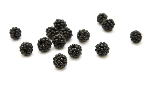 少数几个成熟分散黑莓隔离上白色 backgro — 图库照片