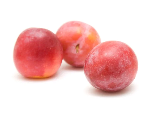 光赤い熟した大きいプラム、3 つの果実、上分離ホワイト バック グラウンド — ストック写真