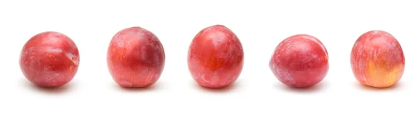 Ciruelas grandes maduras de color rojo claro; borde horizontal; cinco frutos; aislado en whi — Foto de Stock